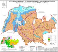Карту распределения лесов по целевому назначению и категориям защитных лесов Сланцевского лесничества – филиала ЛОГБУ «Ленобллес»