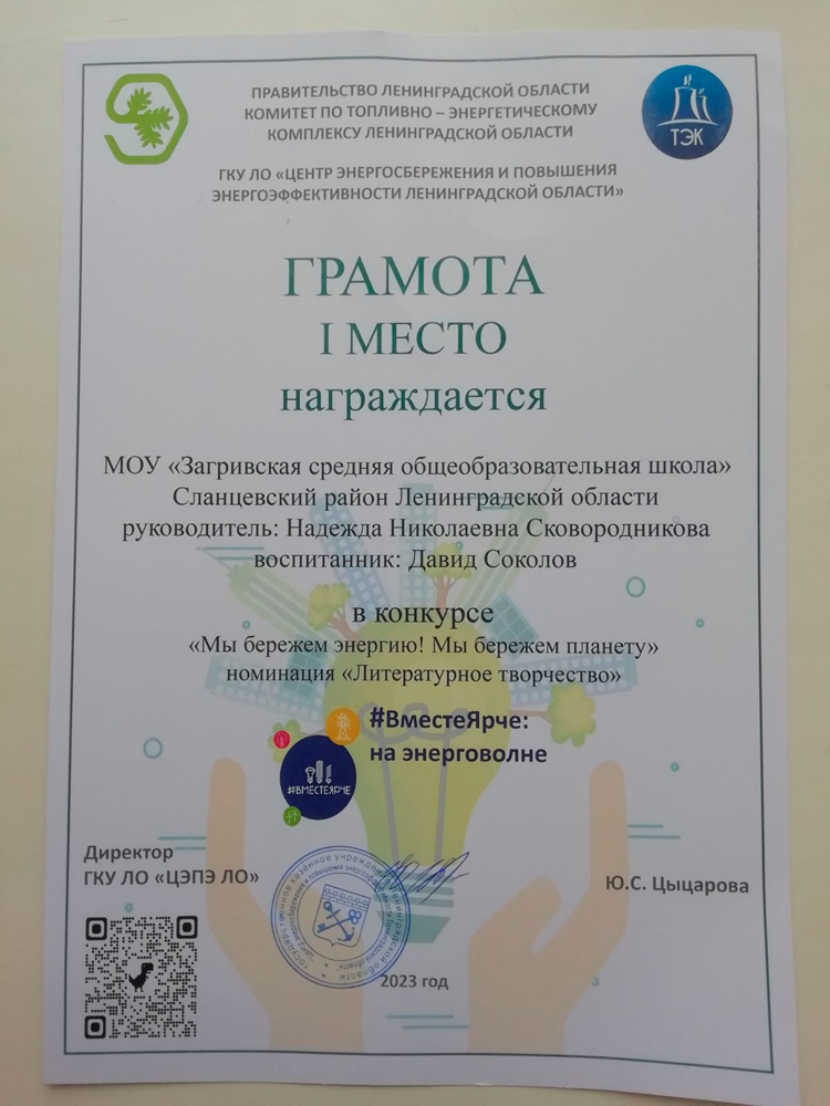 27 августа 2023 года в г. Всеволожск, в парке «Песчанка», состоялся ежегодный Всероссийский фестиваль энергосбережения и экологии #ВместеЯрче2023.